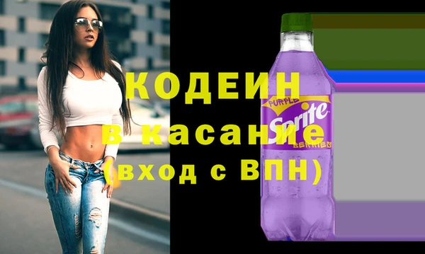 гашик Алексеевка