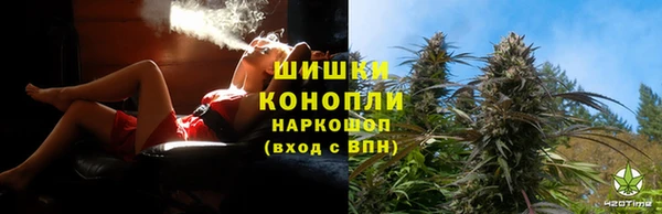 стаф Протвино