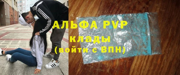 гашик Алексеевка