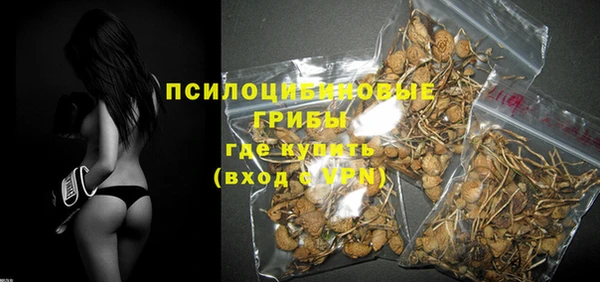 твердый Абаза