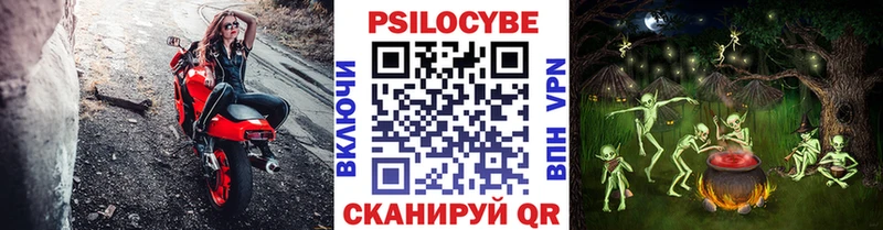 Псилоцибиновые грибы GOLDEN TEACHER купить наркотики цена Усолье-Сибирское